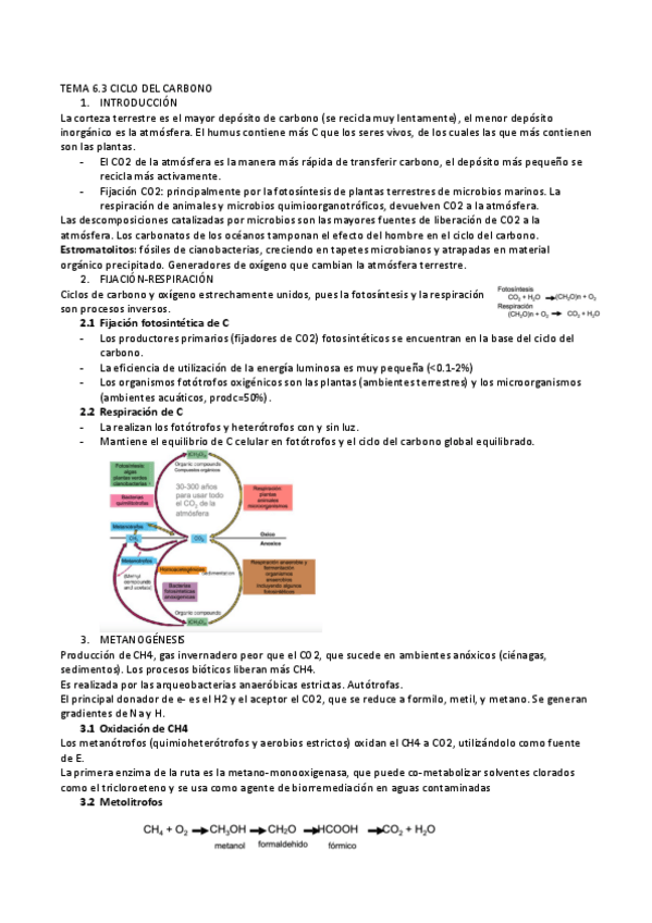 Miniatura del documento t6carbonoalmu.pdf