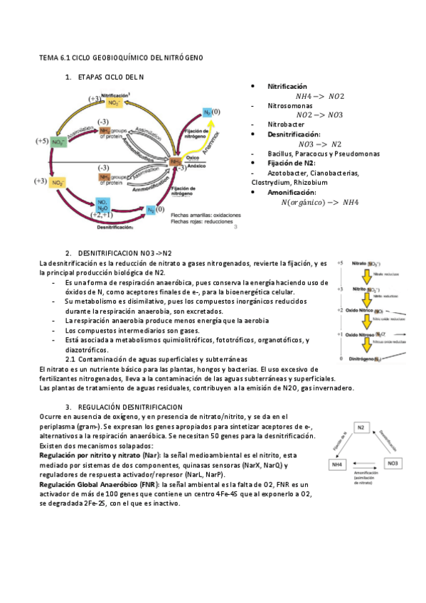 Miniatura del documento t6nitrogenoalmu.pdf