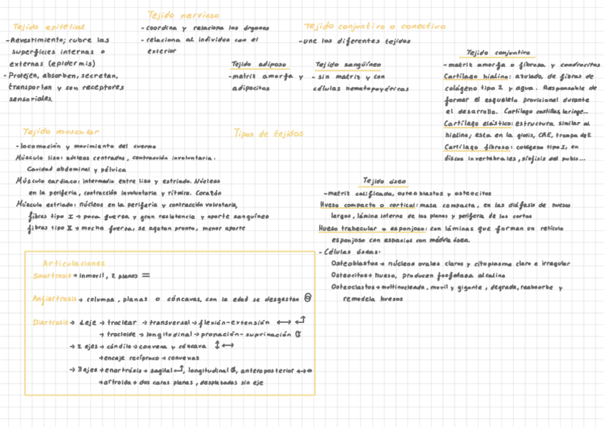 Miniatura del documento Anatomia-Y-Fisiologia-De-Los-Organos-Del-Lenguaje-esquemas-temario-completo.pdf
