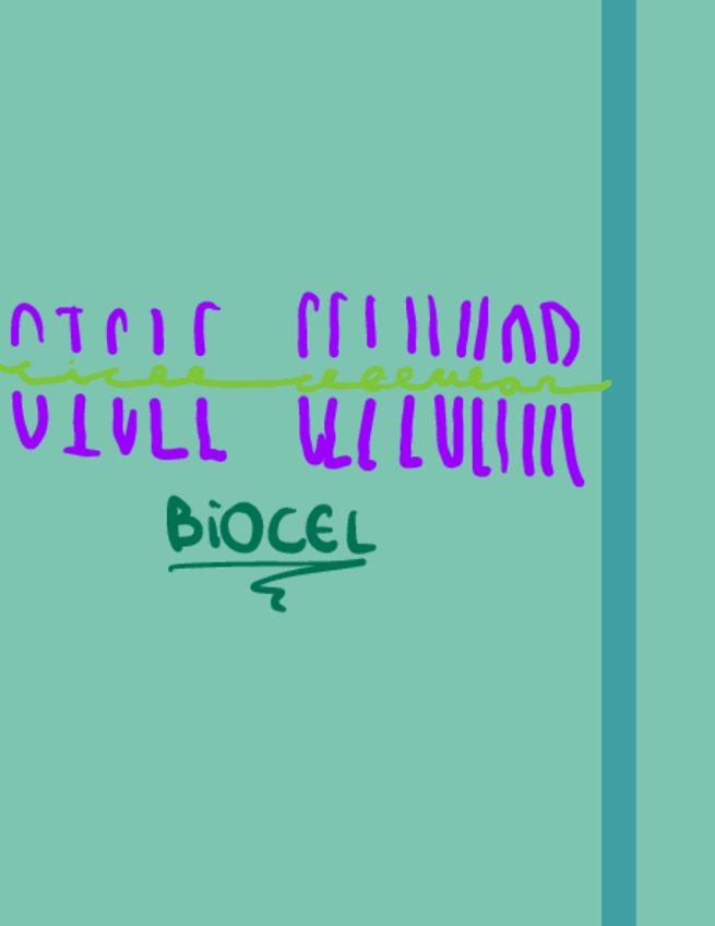 Miniatura del documento Bio-Cicle-Celular.pdf