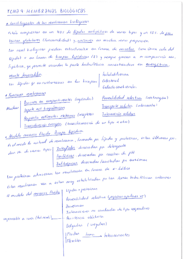 Miniatura del documento Teoria-Membranas-biologicas.pdf