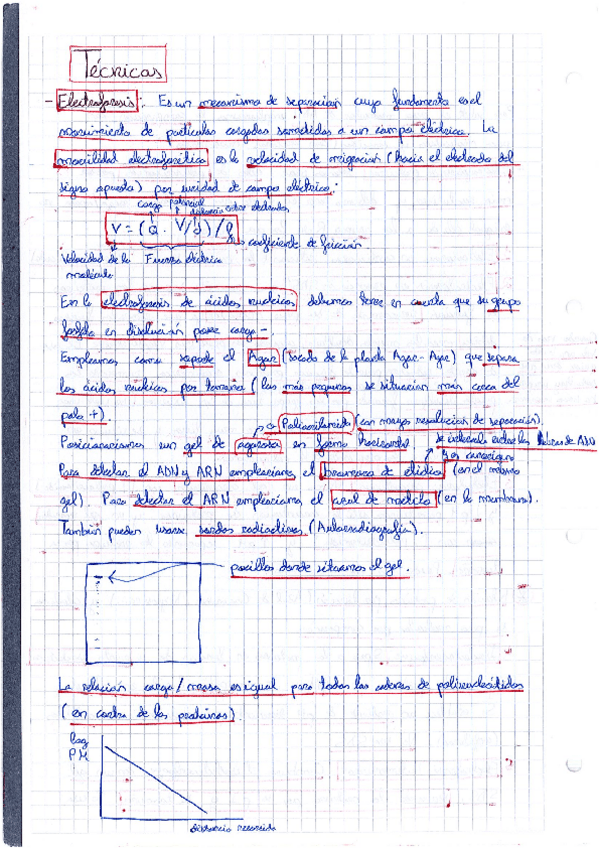 Miniatura del documento Teoria-Tecnicas-Bioquimica-bis.pdf