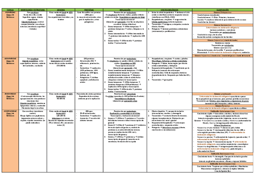 Miniatura del documento Tabla-resumen-virus.pdf
