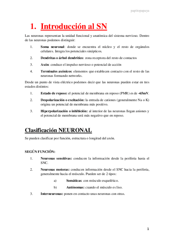Miniatura del documento 1.-Introduccion-al-SN.pdf