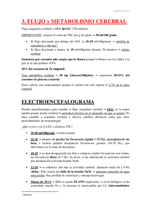 Miniatura del documento 3.-Metabolismo-neuronal.pdf