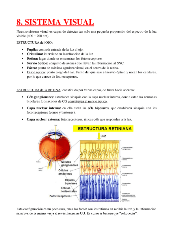 Miniatura del documento 8.-Vista.pdf