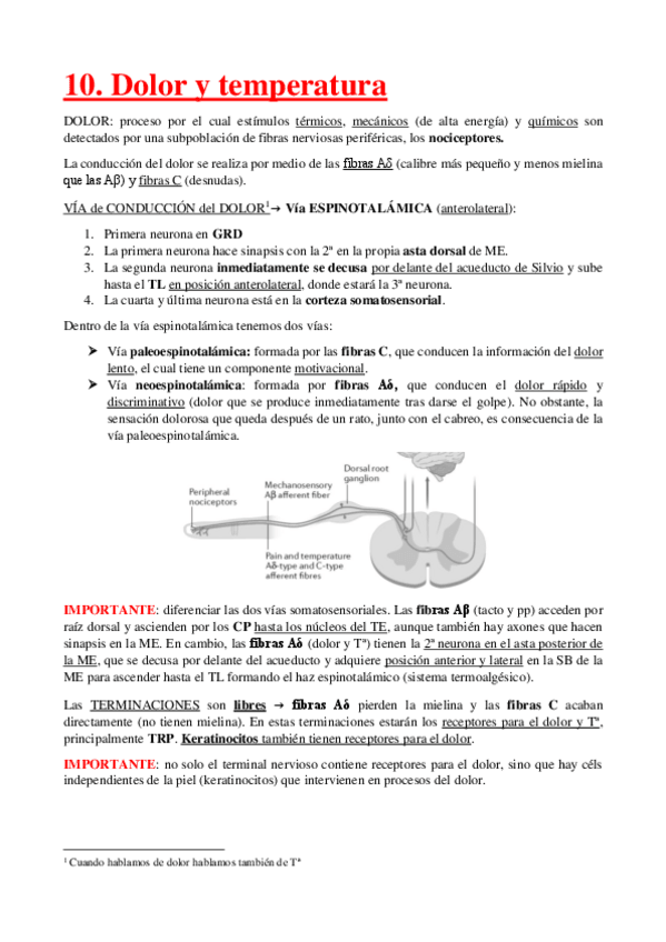 Miniatura del documento 10.-SomatosensacionII.pdf
