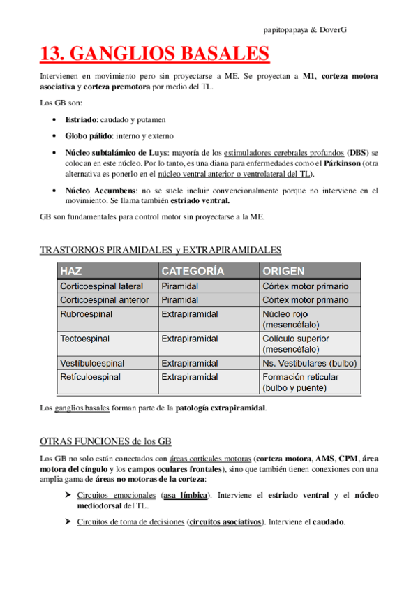 Miniatura del documento 13.-Ganglios-basales.pdf