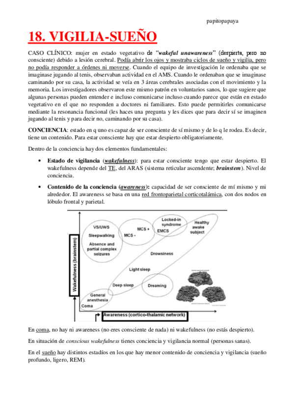Miniatura del documento 18.-Vigilia.pdf