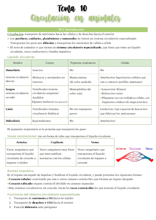 Miniatura del documento tema-10-circulacion-en-animales.pdf