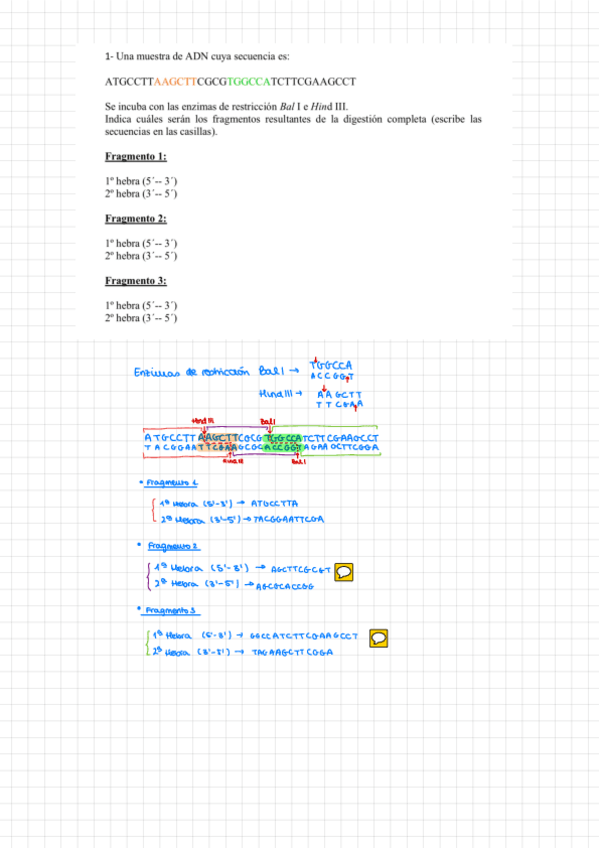 Miniatura del documento Problemas-Voluntarios-I-Biotecnologia-Corregidos.pdf