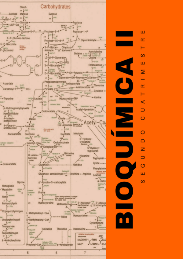 Miniatura del documento BIOQUIMICA-2-TEMARIO-COMPLETO.pdf