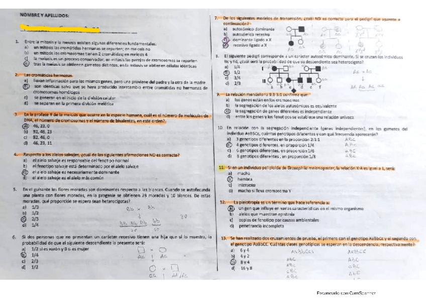Miniatura del documento Examen-genetica.pdf