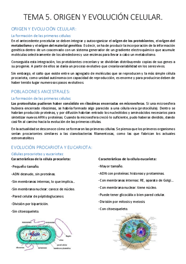 Miniatura del documento Tema 5. Origen y evolución celular..pdf