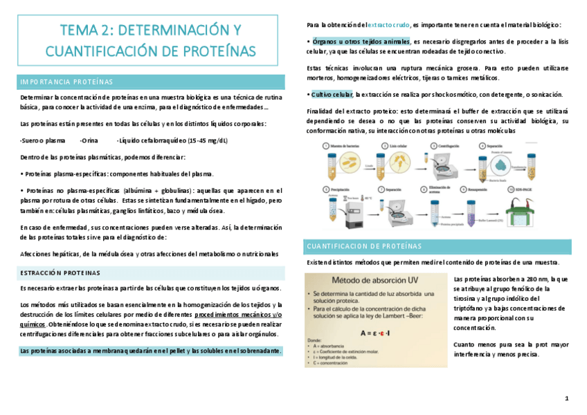 Miniatura del documento 2.-det-y-cuant-de-prot.pdf