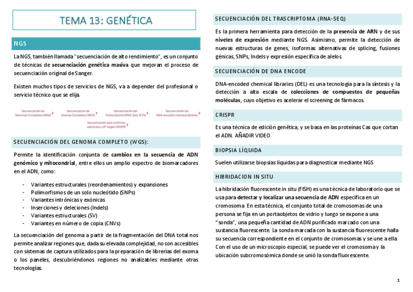 Miniatura del documento 13.-genetica.pdf