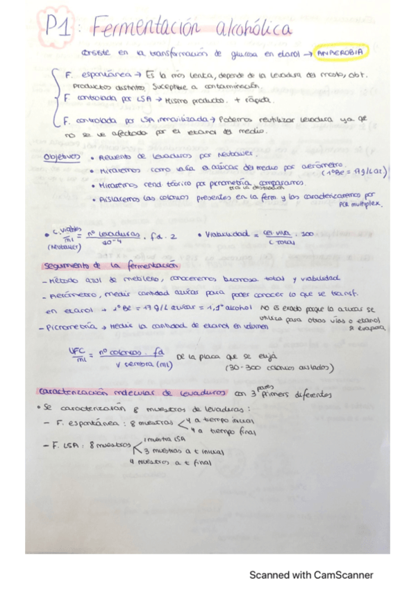 Miniatura del documento RESUMEN-IMPORTANTE--PROBLEMAS-FINALES.pdf