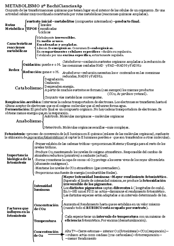 Miniatura del documento Metabolismo-Biología-Aragon-EvAU-EBAU-PAU-PEvAU-Selectividad.pdf