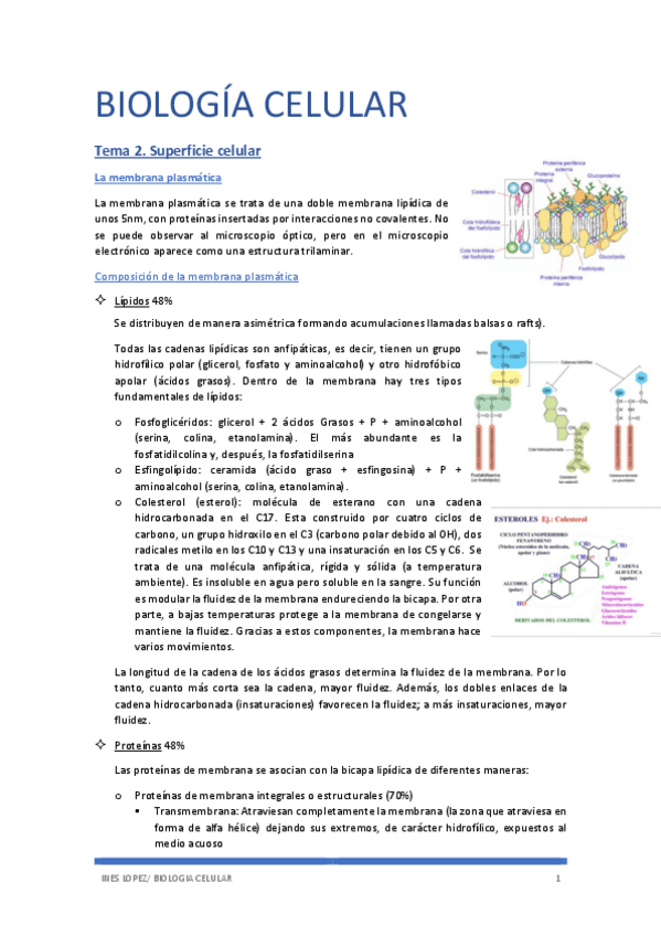 Miniatura del documento biologia-tema-2.pdf