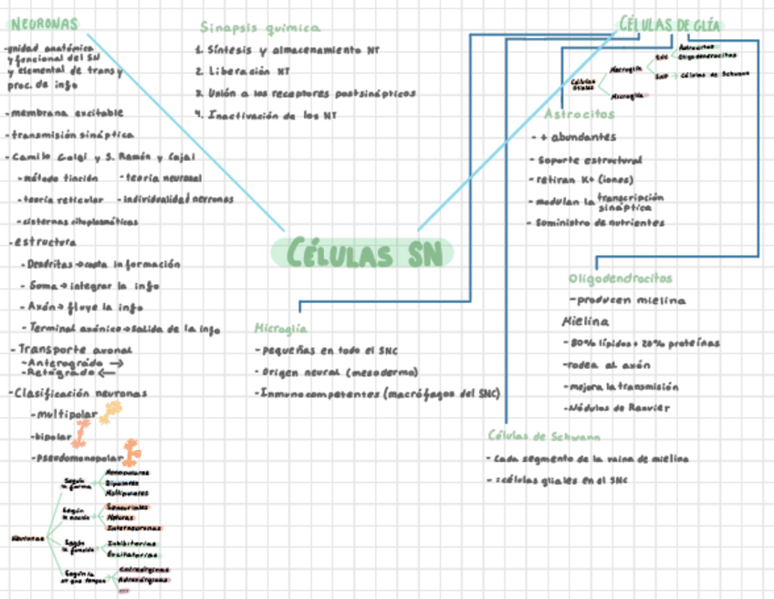 Miniatura del documento Psicobiologia-esquemas-temario-completo.pdf