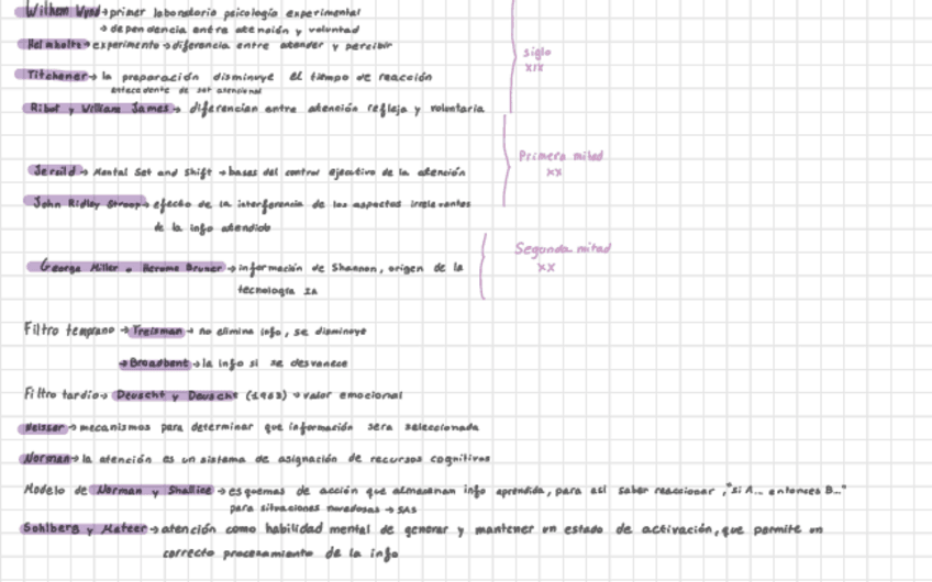 Miniatura del documento Psicologia-De-La-Atencion-Y-Funciones-Ejecutivas-esquemas-temario-completo.pdf