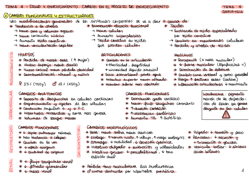 Miniatura del documento Geriatria-resumenes-completo.pdf