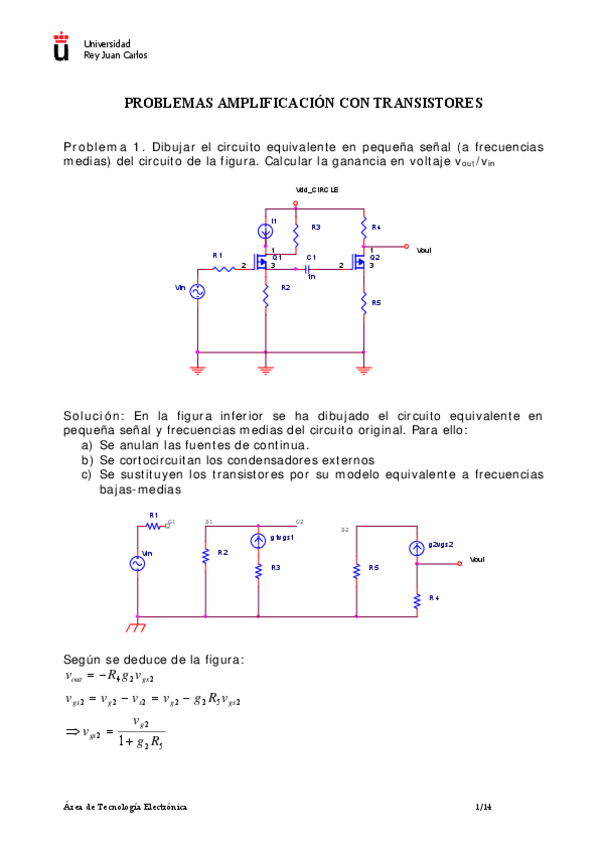 Miniatura del documento ProblemasAmpficacionTRT.pdf