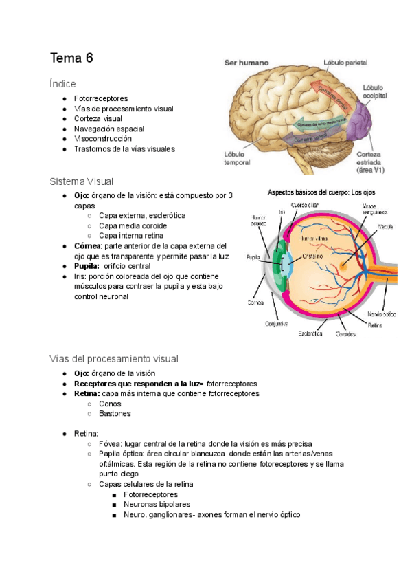 Miniatura del documento Tema-6.pdf
