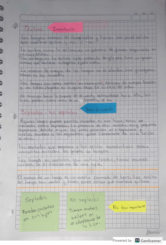 Miniatura del documento APUNTES-3.pdf