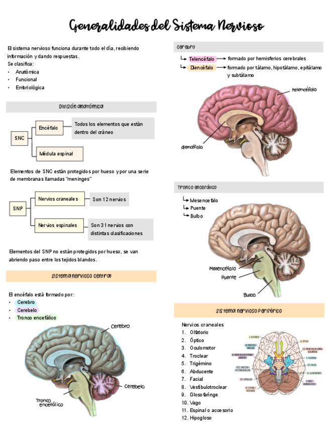Miniatura del documento Generalidades-del-SN.pdf