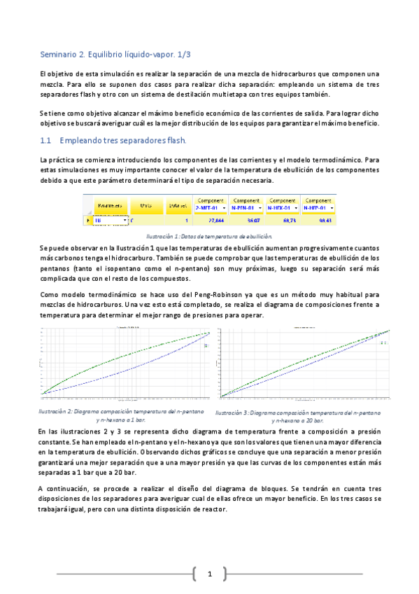 Miniatura del documento Memoria-seminario-2.pdf