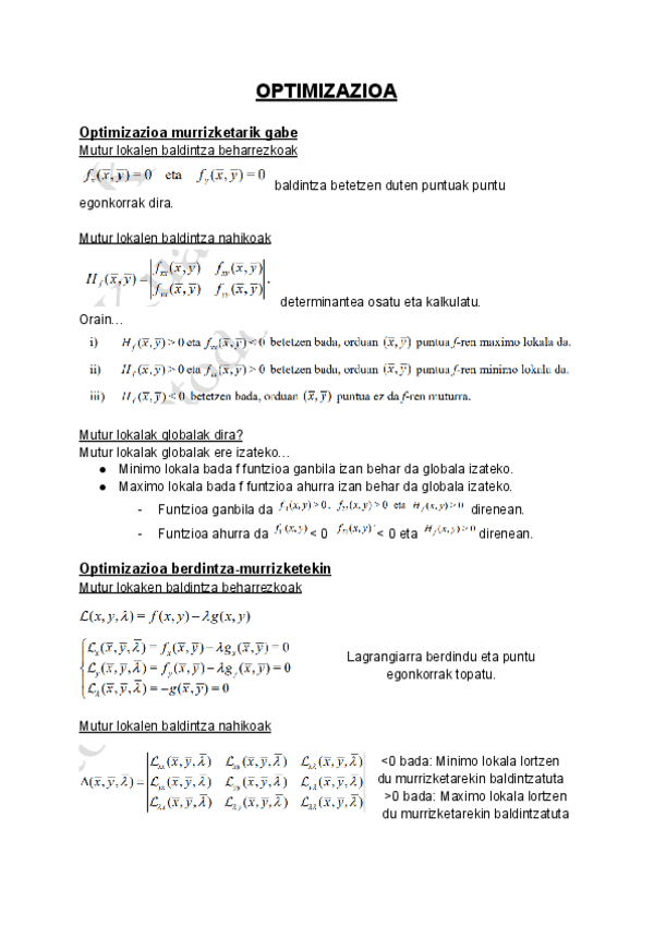 Miniatura del documento OPTIMIZAZIOA.pdf