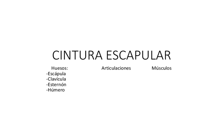 Miniatura del documento CINTURA-ESCAPULAR.pdf