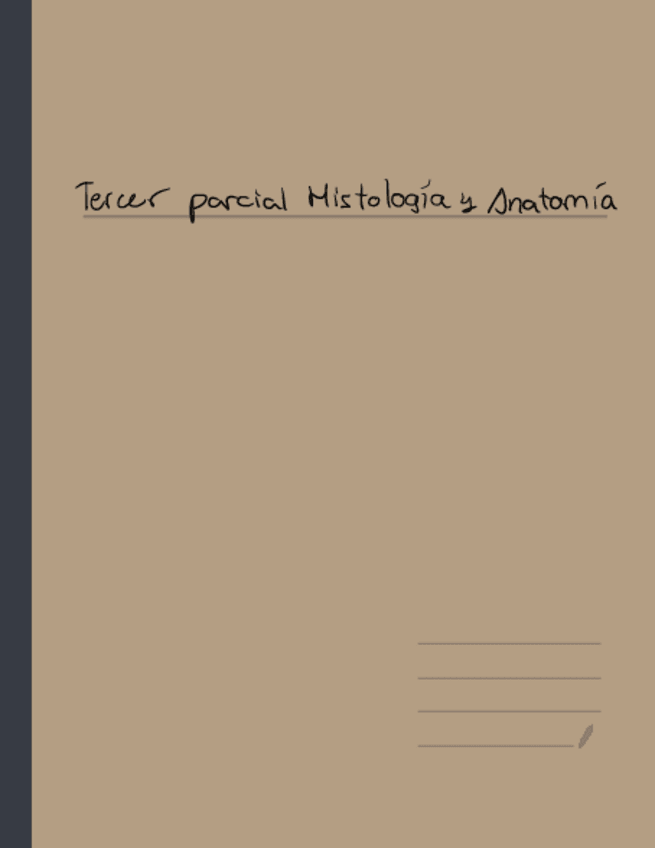 Miniatura del documento Tercer-Parcial-Histologia-y-Anatomia.pdf