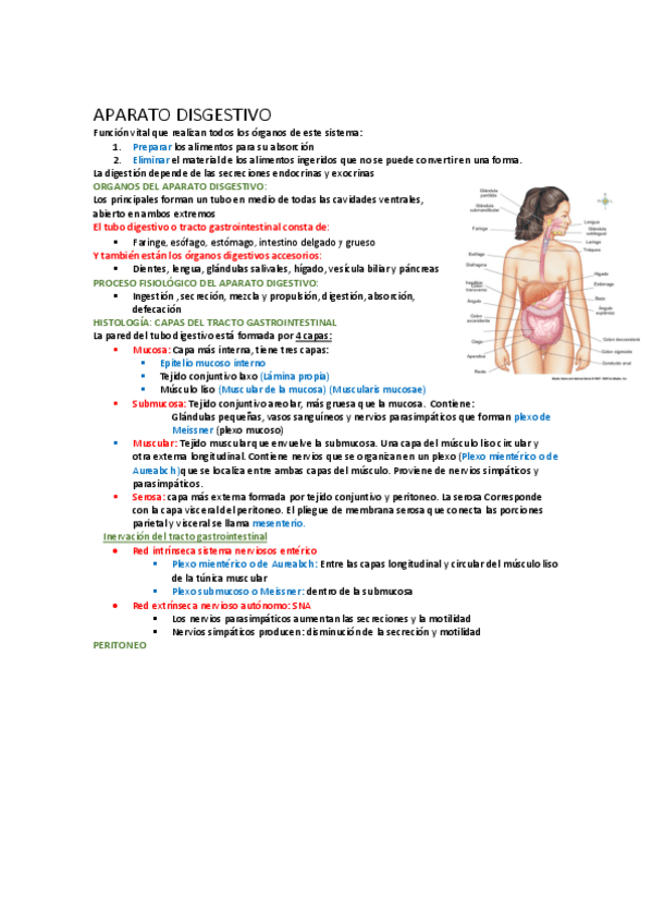 Miniatura del documento APARATO-DISGESTIVO.pdf
