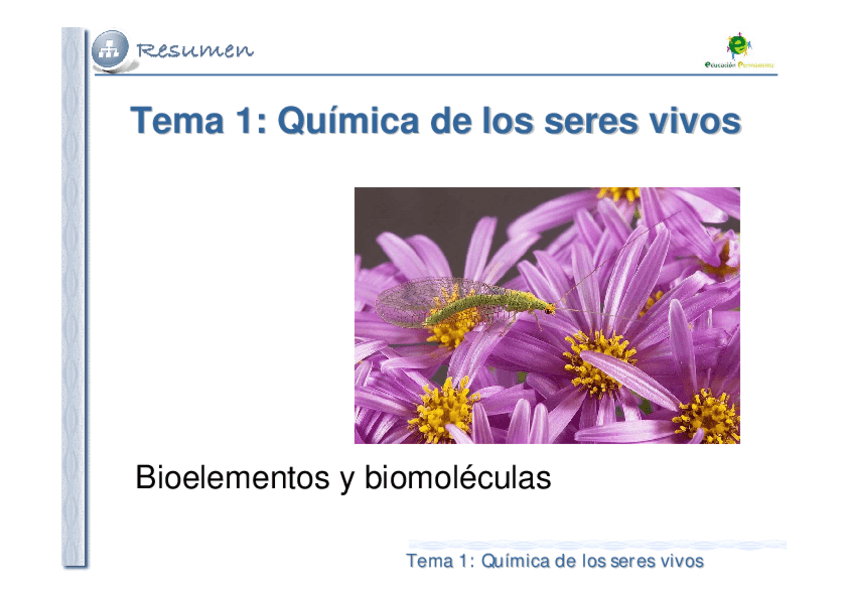 Miniatura del documento T1Biologiabiomoleculas.pdf