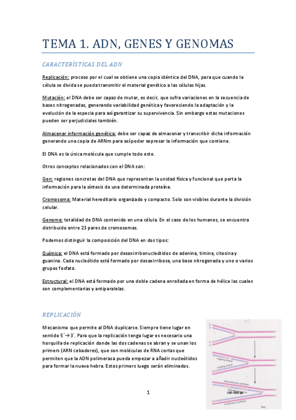 Miniatura del documento Apuntes-Genetica.pdf