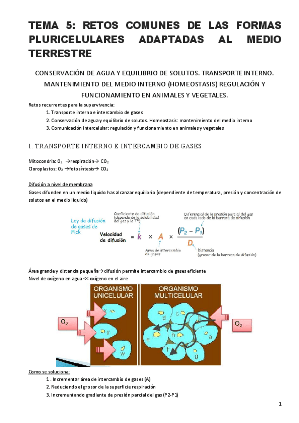 Miniatura del documento Bio-tema-5-1-1.pdf