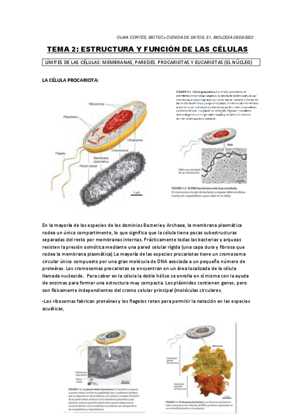 Miniatura del documento TEMA-2-BIOLOGIAprimera-parte.pdf