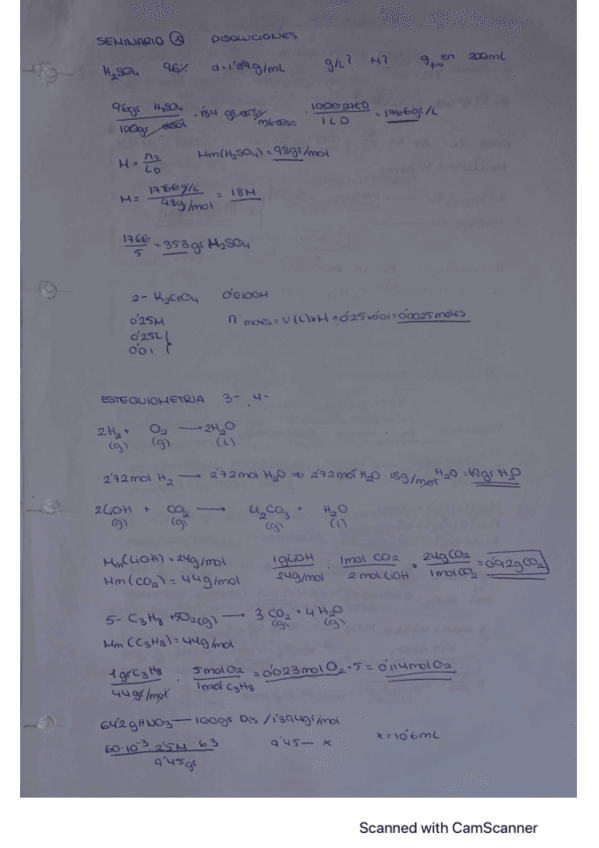 Miniatura del documento seminarios-quimica.pdf