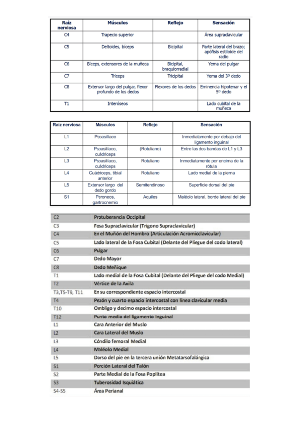 Miniatura del documento IMPRESCINDIBLE.pdf