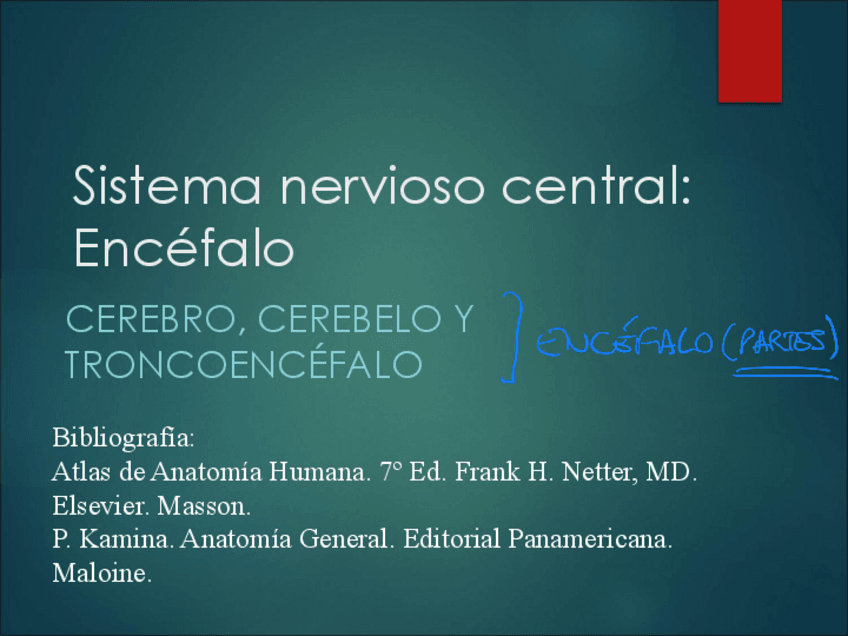 Miniatura del documento HYD-6.1-Encefalo.pdf