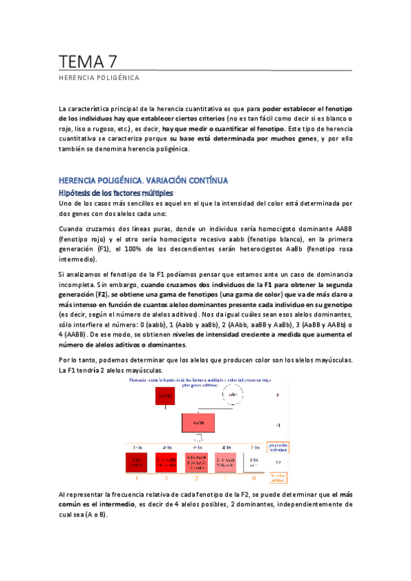 Miniatura del documento TEMA-7.pdf