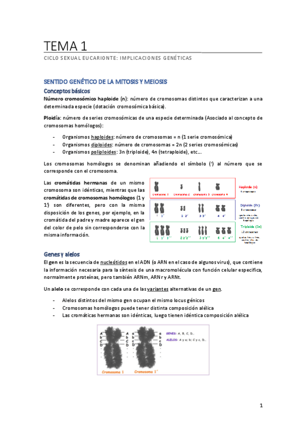 Miniatura del documento TEMA-1.pdf