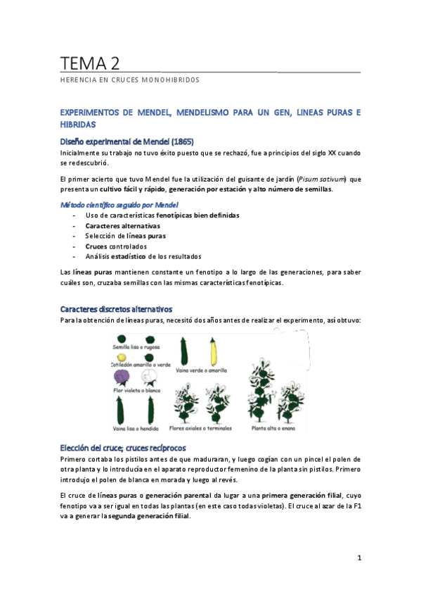 Miniatura del documento TEMA-2.pdf