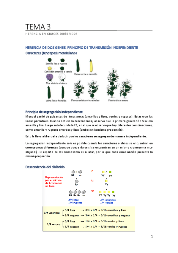 Miniatura del documento TEMA-3.pdf