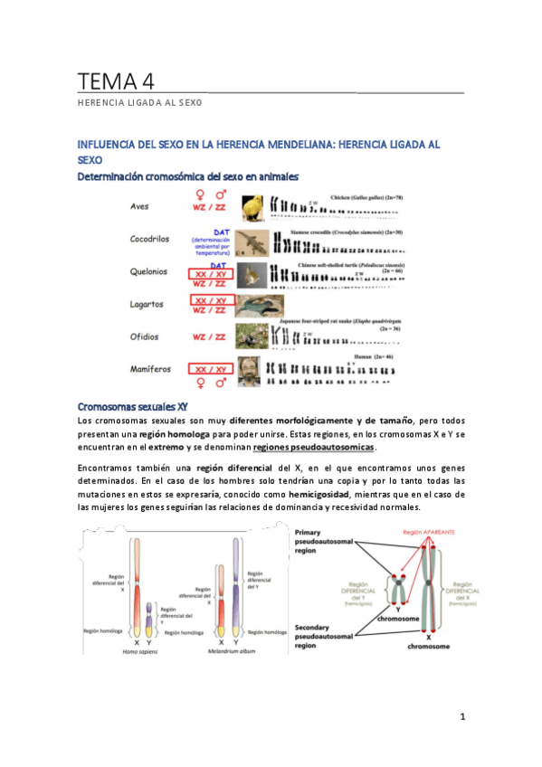 Miniatura del documento TEMA-4.pdf