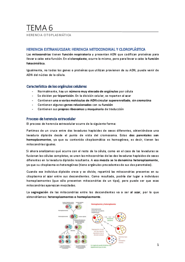 Miniatura del documento TEMA-6.pdf