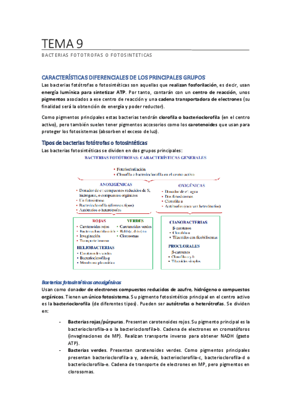 Miniatura del documento TEMA-9-micro.pdf
