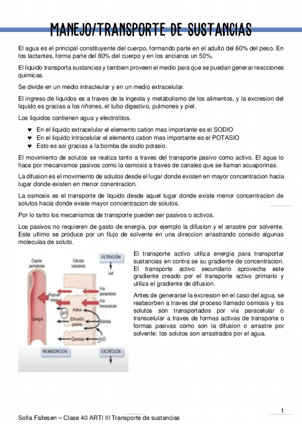 Miniatura del documento 39-Transporte-de-sustancias.pdf